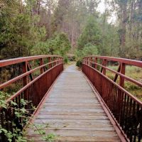 Forks Campground ico