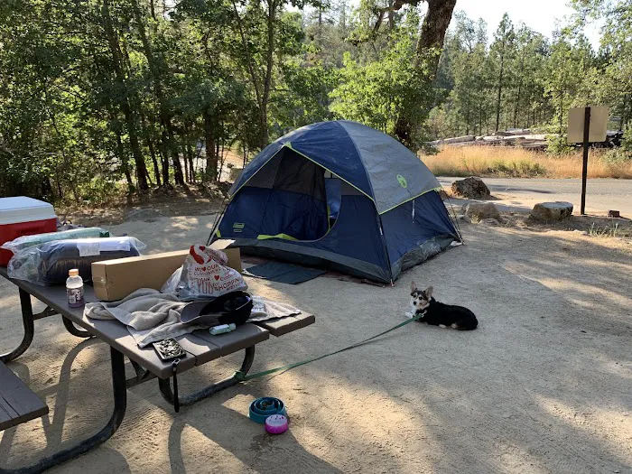 Forks Campground Picture 8