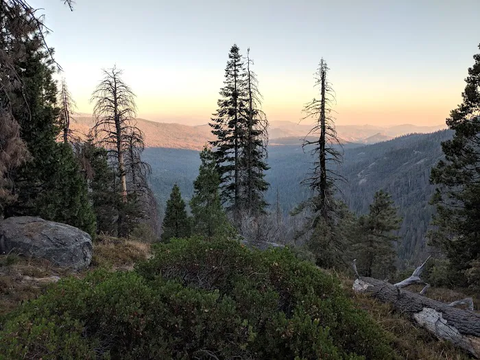 Swanson Campground Picture 7