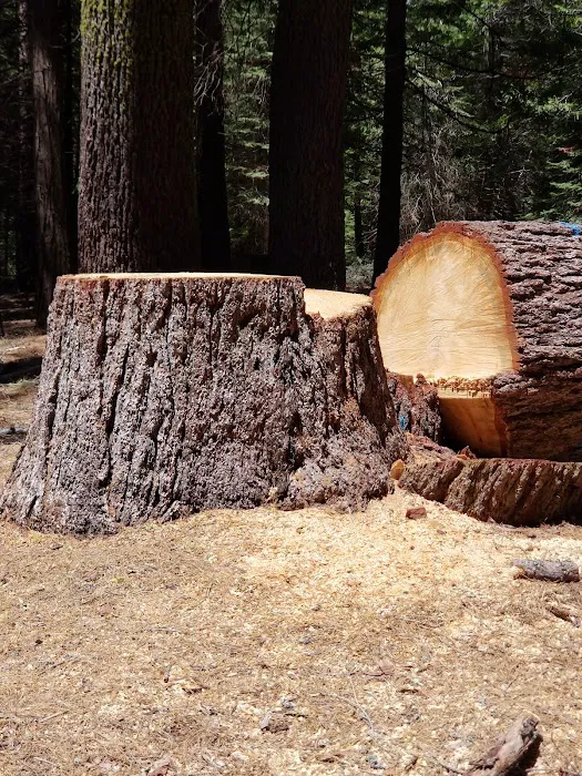 Swanson Campground Picture 9