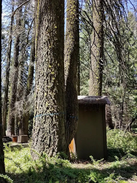 Swanson Campground Picture 8