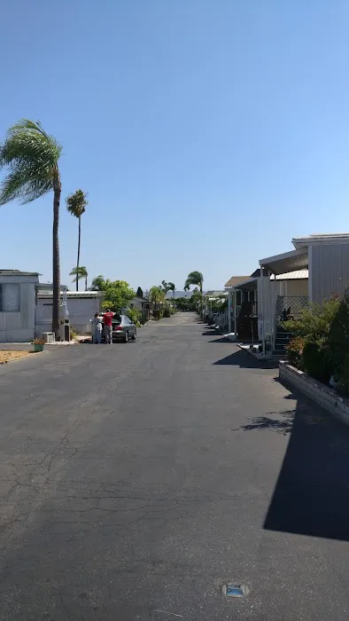 Del Amo Gardens Picture 4