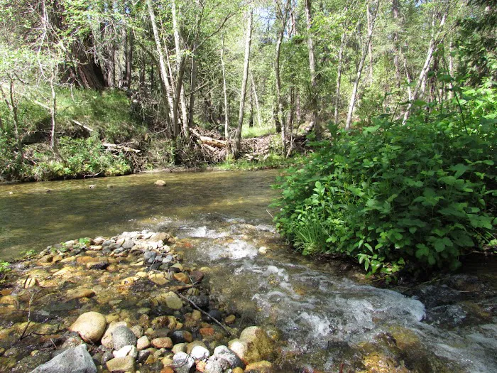 Bretz Mill Campground Picture 1