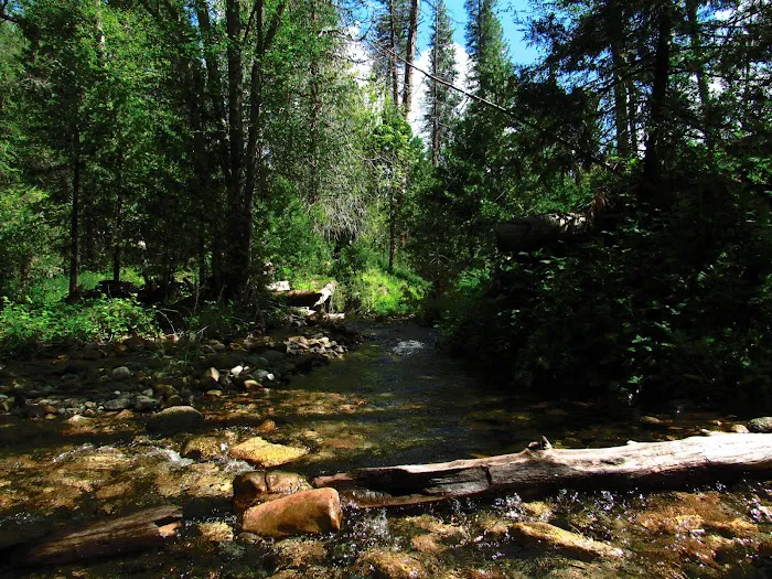 Bretz Mill Campground Picture 6
