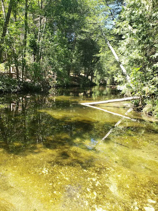 Bretz Mill Campground Picture 9