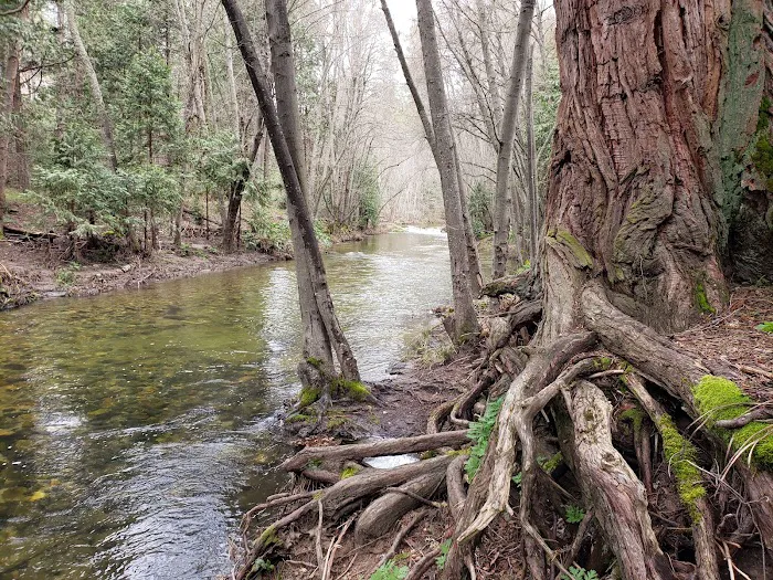 Bretz Mill Campground Picture 8