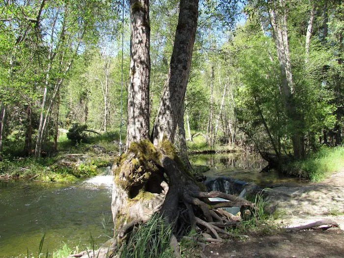 Bretz Mill Campground Picture 7