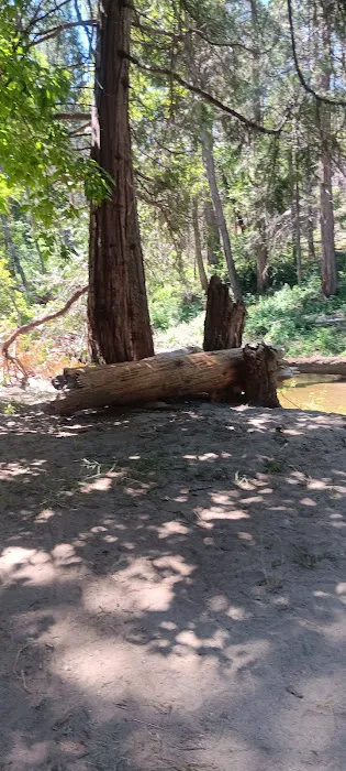 Duff Creek Campground Picture 7