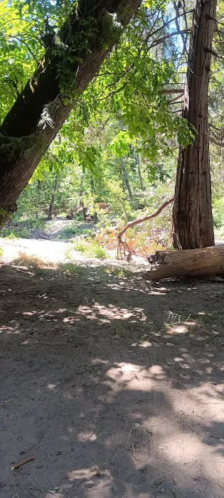 Duff Creek Campground Picture 10