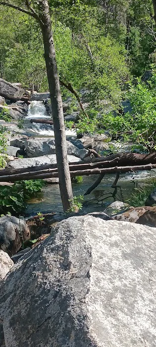 Duff Creek Campground Picture 6