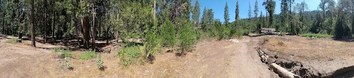 Duff Creek Campground Picture 8
