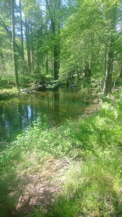 Duff Creek Campground Picture 3