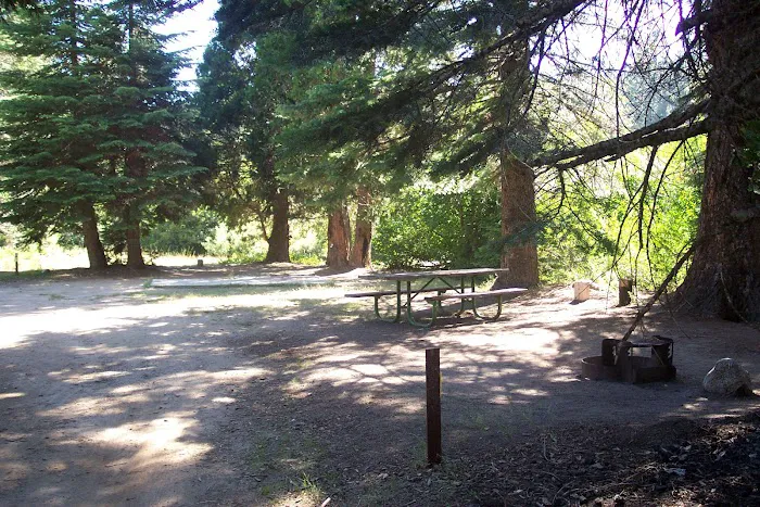 Whiskers Campground Picture 5