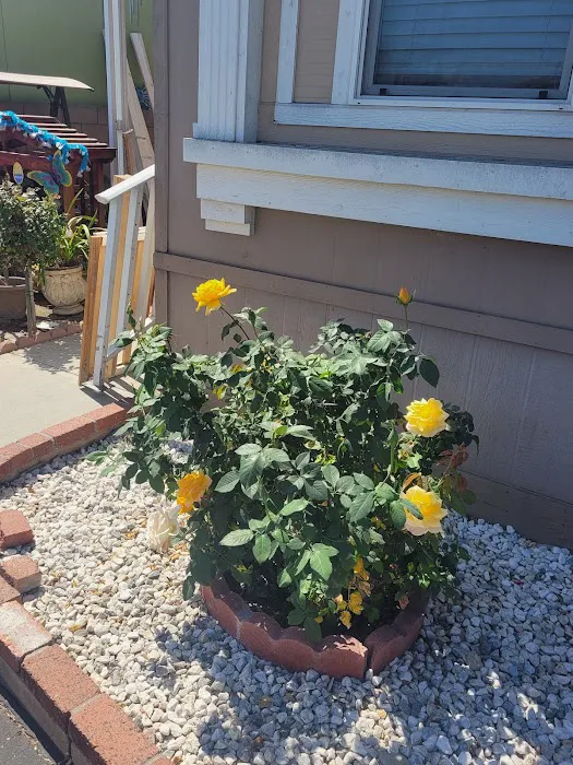 Fountain Blue Mobile Home Park Picture 10