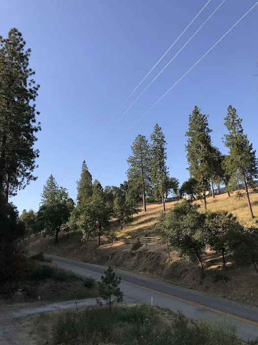 Old Yosemite Base Camp Picture 3