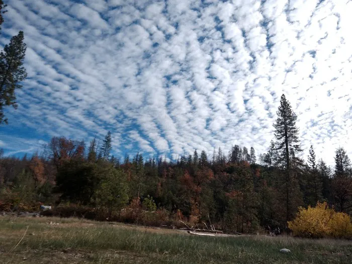 Recreation Point Group Campground Picture 6