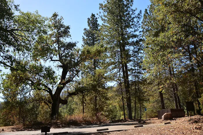 Recreation Point Group Campground Picture 5