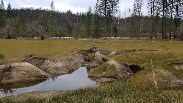 Recreation Point Group Campground Picture 4