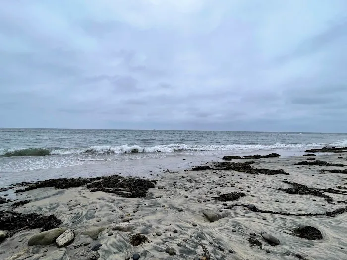 South Carlsbad State Beach Picture 8