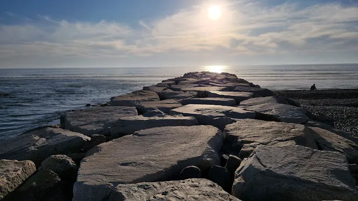 South Carlsbad State Beach Picture 9