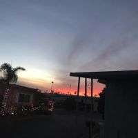 Lynnwood South Mobile Estates ico