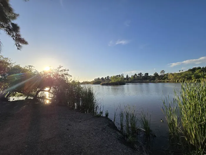Guajome Regional Park campground Picture 3