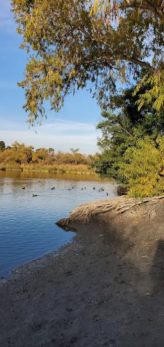 Guajome Regional Park campground Picture 4