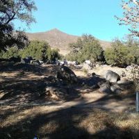 Ma Tar Awa Viejas Camper Park ico