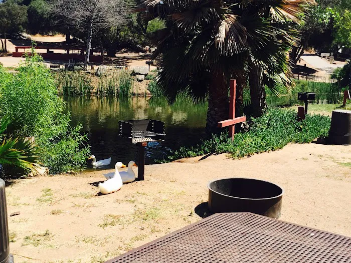 Lilac Oaks Campground Picture 9