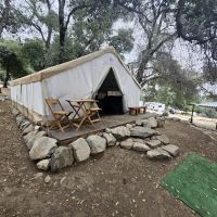 Base camp at palomer ico