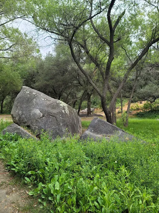 La Jolla Indian Campground Picture 8