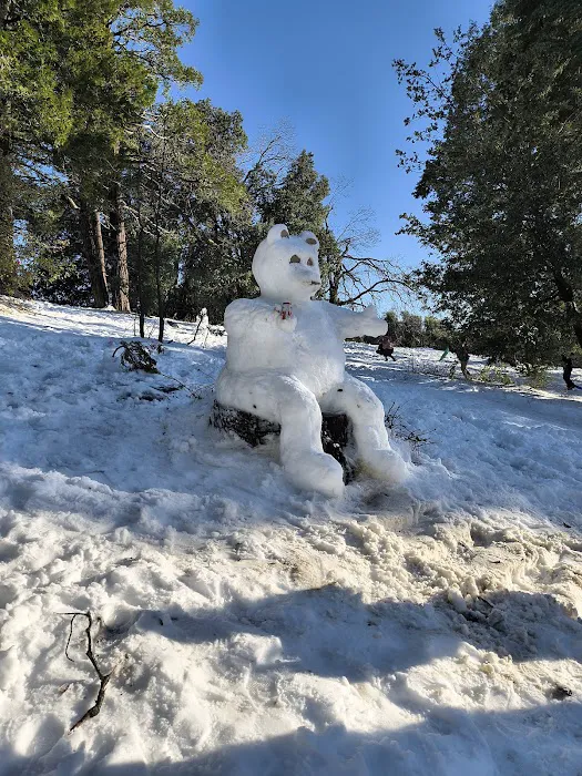 Crestline Group Campground Picture 1