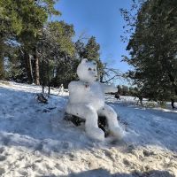 Crestline Group Campground ico