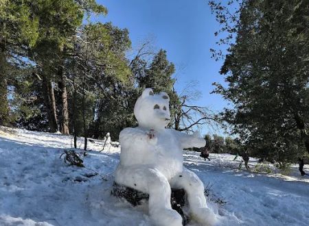 Crestline Group Campground