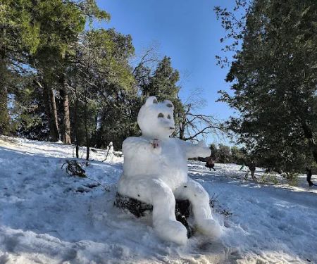 Crestline Group Campground