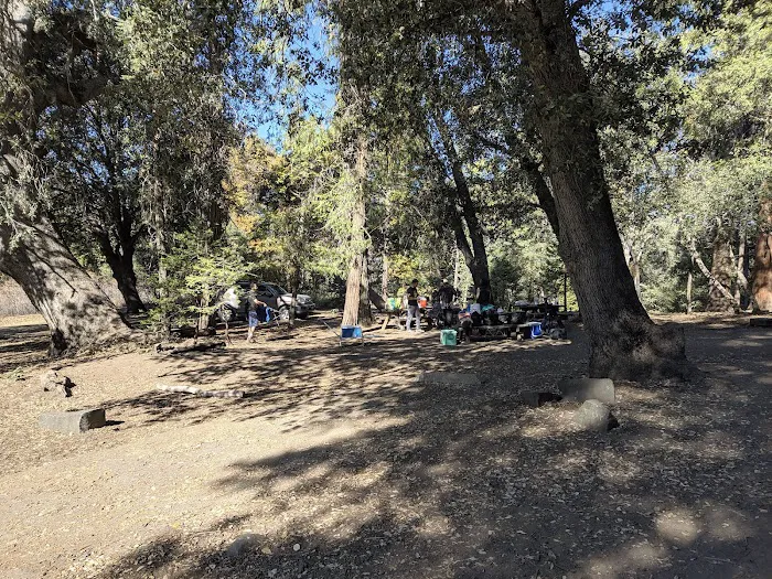 Cedar Grove Group Campground Picture 10
