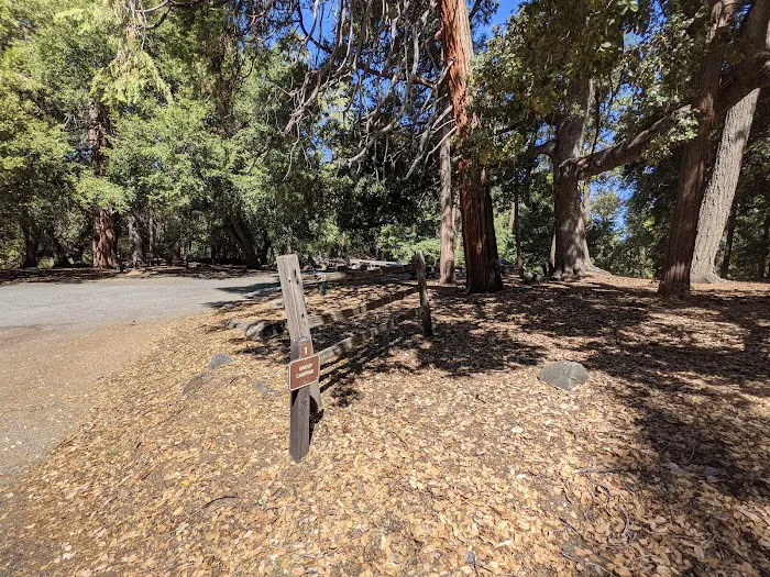Cedar Grove Group Campground Picture 9