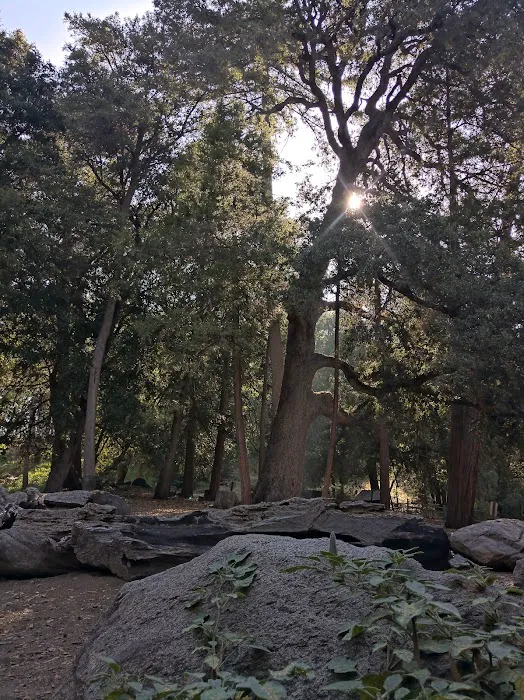 Cedar Grove Group Campground Picture 6