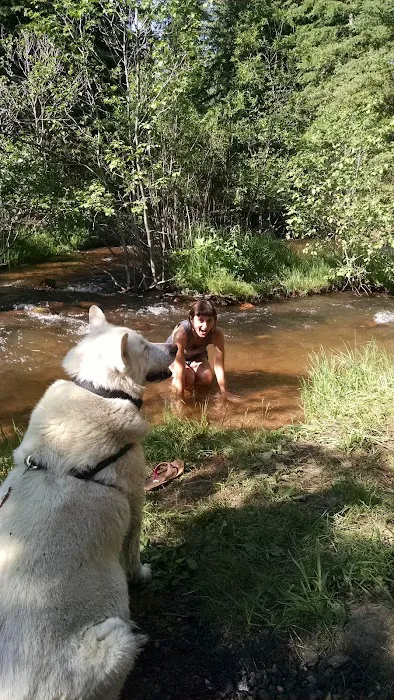 Buffalo Creek Campground Picture 3