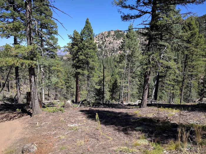 Buffalo Creek Campground Picture 4