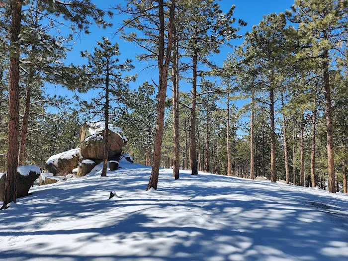 Buffalo Creek Campground Picture 5