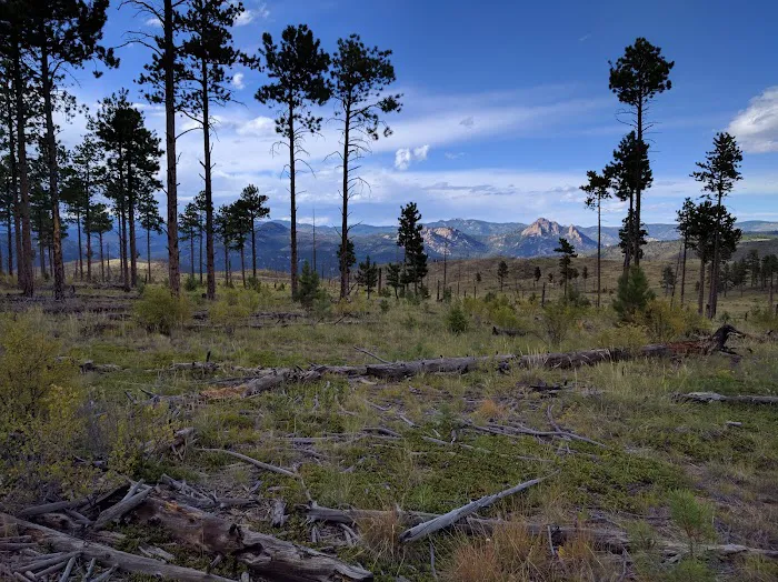 Buffalo Creek Campground Picture 10