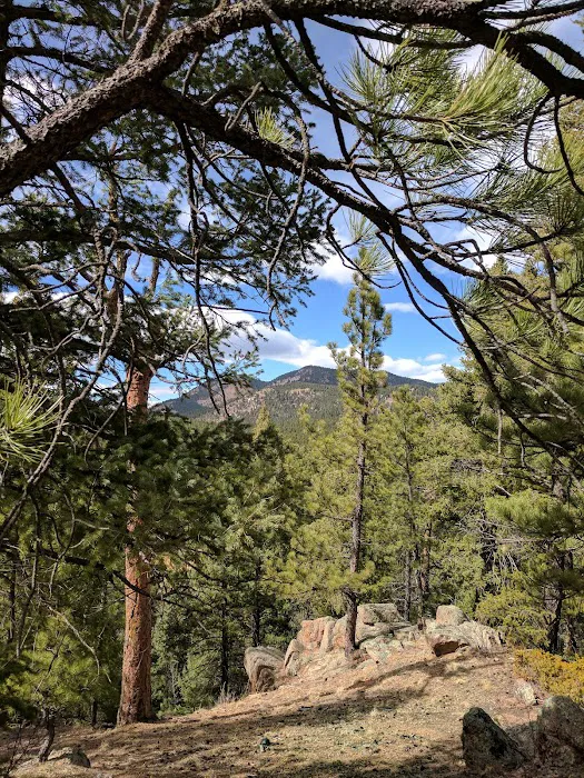 Meadows Group Campground Picture 7