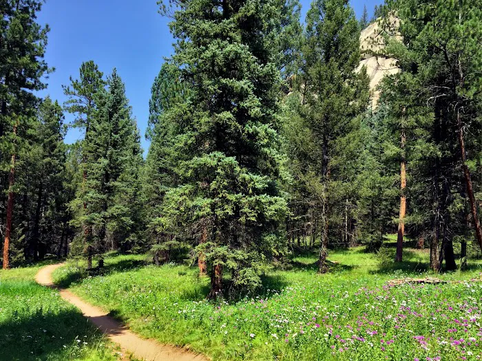Meadows Group Campground Picture 4