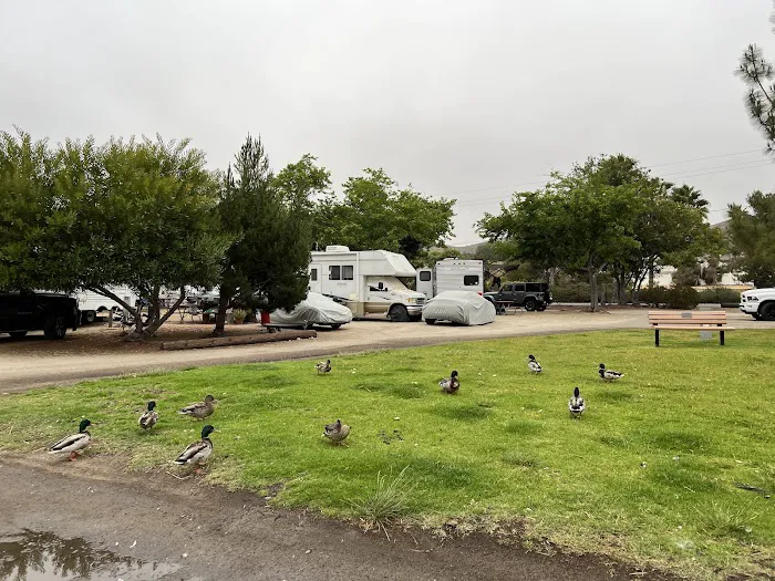 Santee Lake rv Resort Picture 5