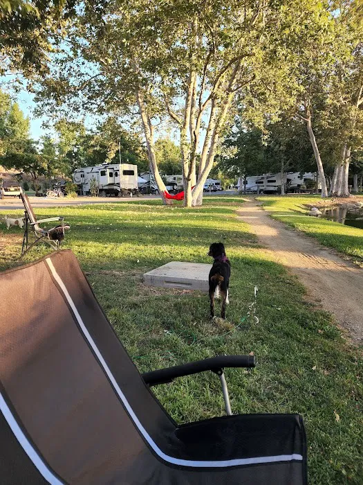 Santee Lake rv Resort Picture 8