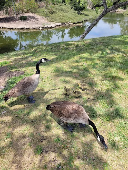Santee Lake rv Resort Picture 7