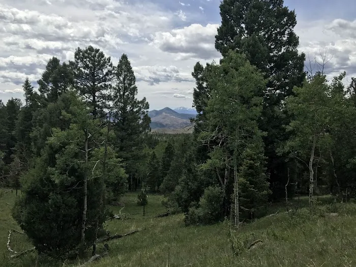 Kelsey Campground Picture 1