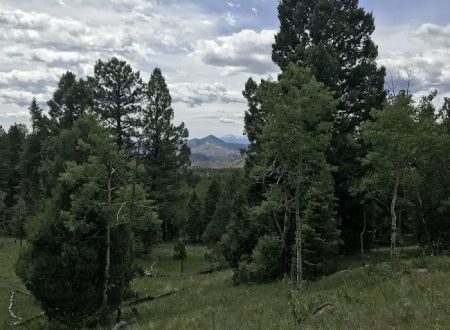 Kelsey Campground