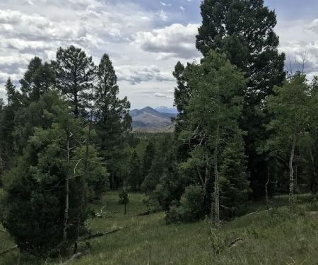 Kelsey Campground